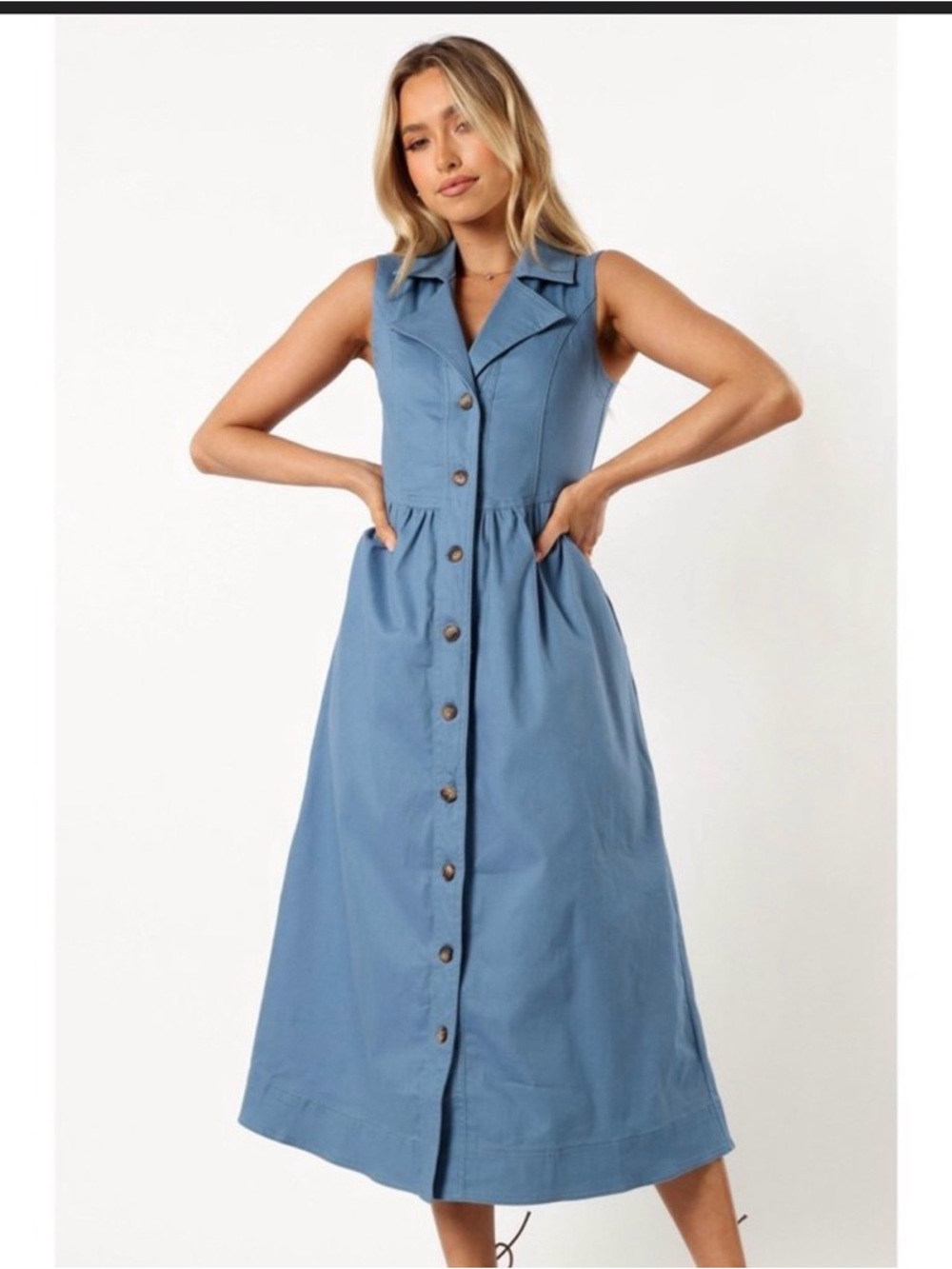 Petal & Pup Sleeveless Button-Front Maxi Dress in Dusty Blue - Picture 5 of 6